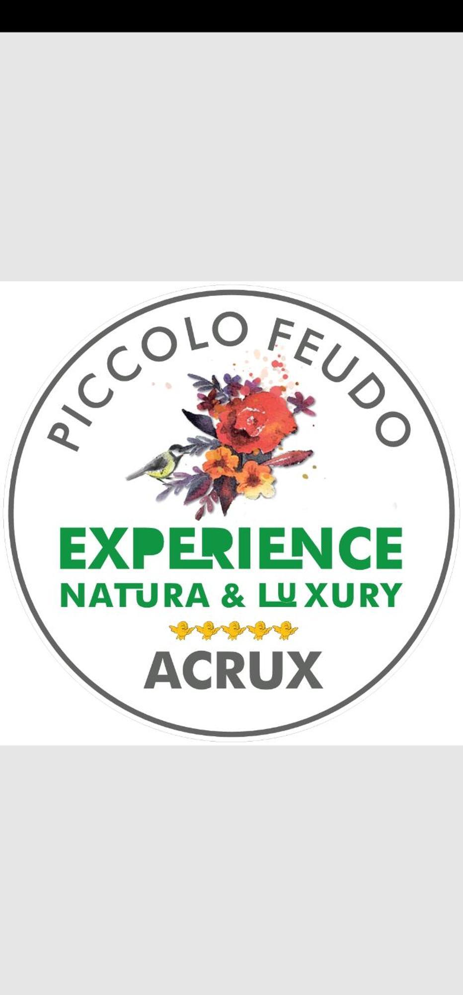Piccolo Feudo Green Resort (Adults Only) Βιτέρμπο Δωμάτιο φωτογραφία